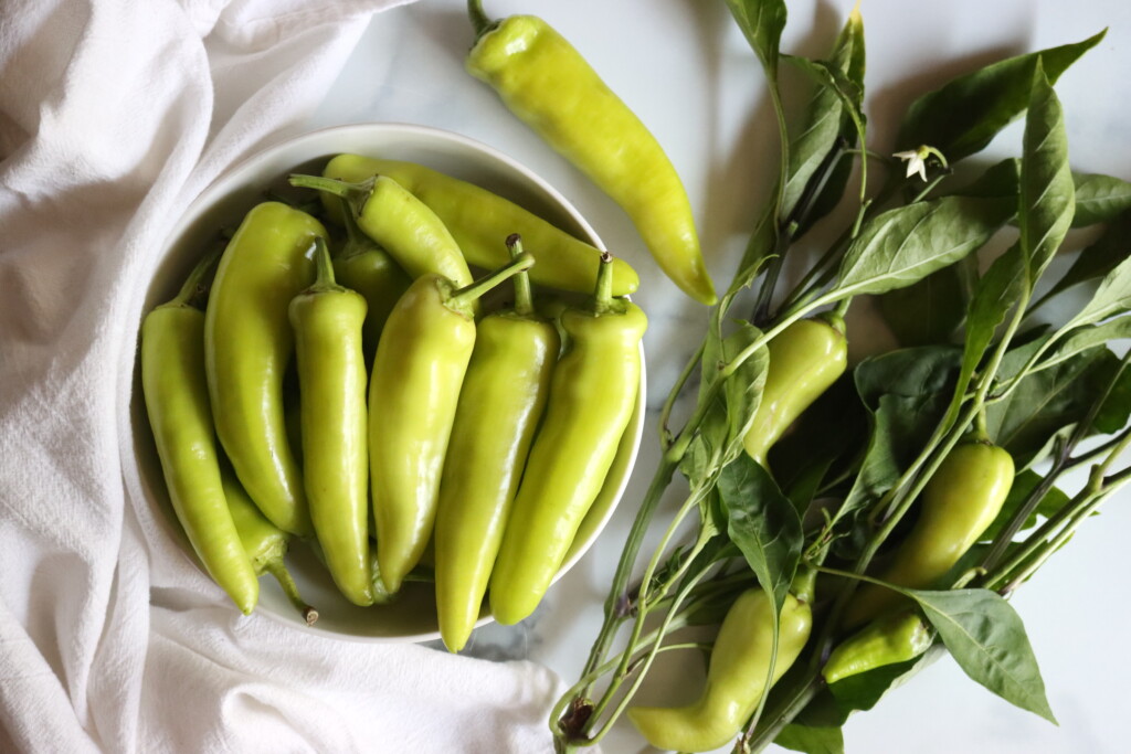 Banana Pepper Harvest