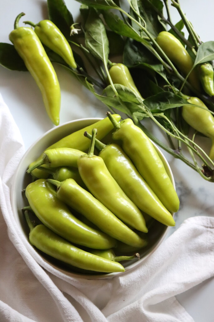 Banana Pepper Harvest