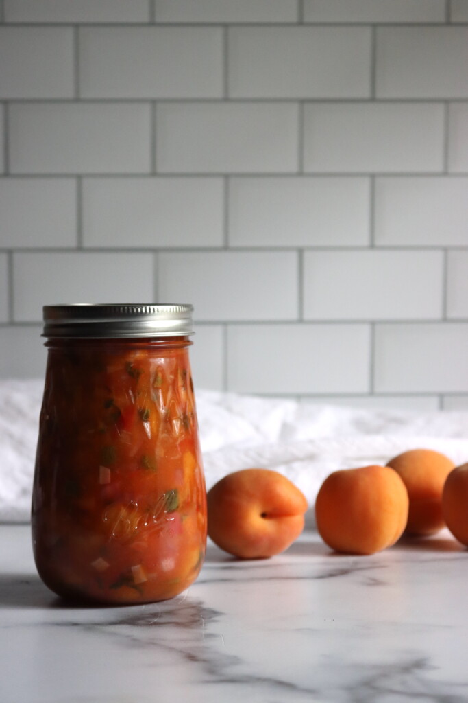 Canning Apricot Salsa
