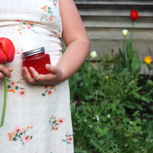 Tulip Jelly