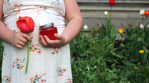 Tulip Jelly - Creative Canning