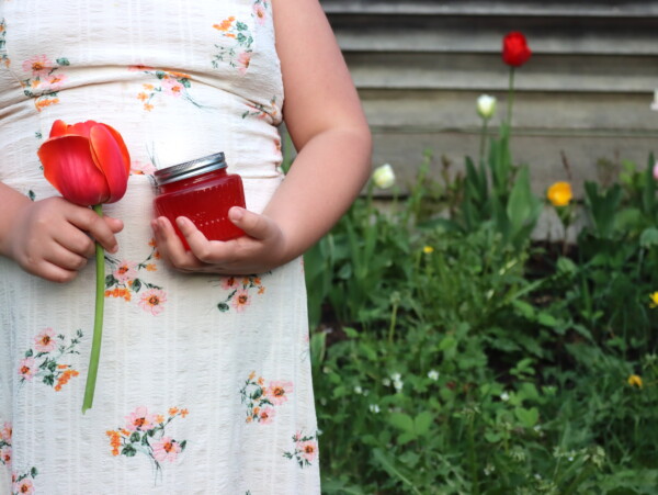Tulip Jelly