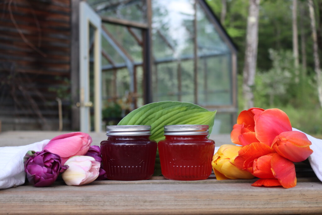 Tulip Jelly