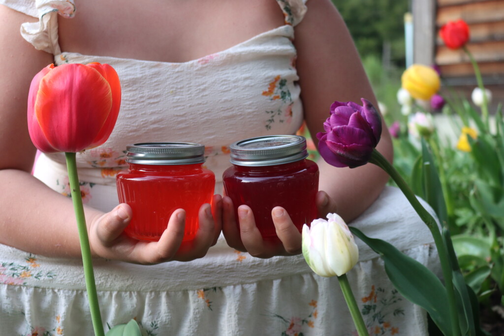 Two different batches of tulip jelly, one made with orange/yellow petals and the other made with purple/pink colors.