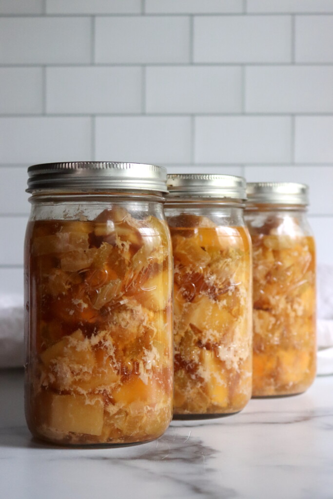 Chicken and Gravy Meal in a Jar Recipe