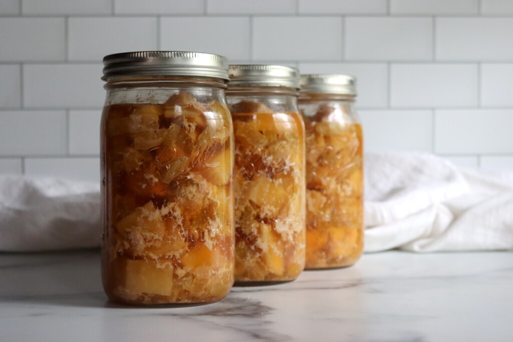 Chicken and Gravy Meal in a Jar
