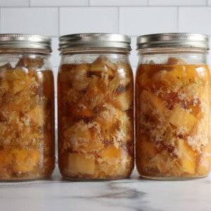 Chicken and Gravy Meal in a Jar