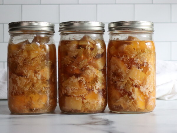 Chicken and Gravy Meal in a Jar