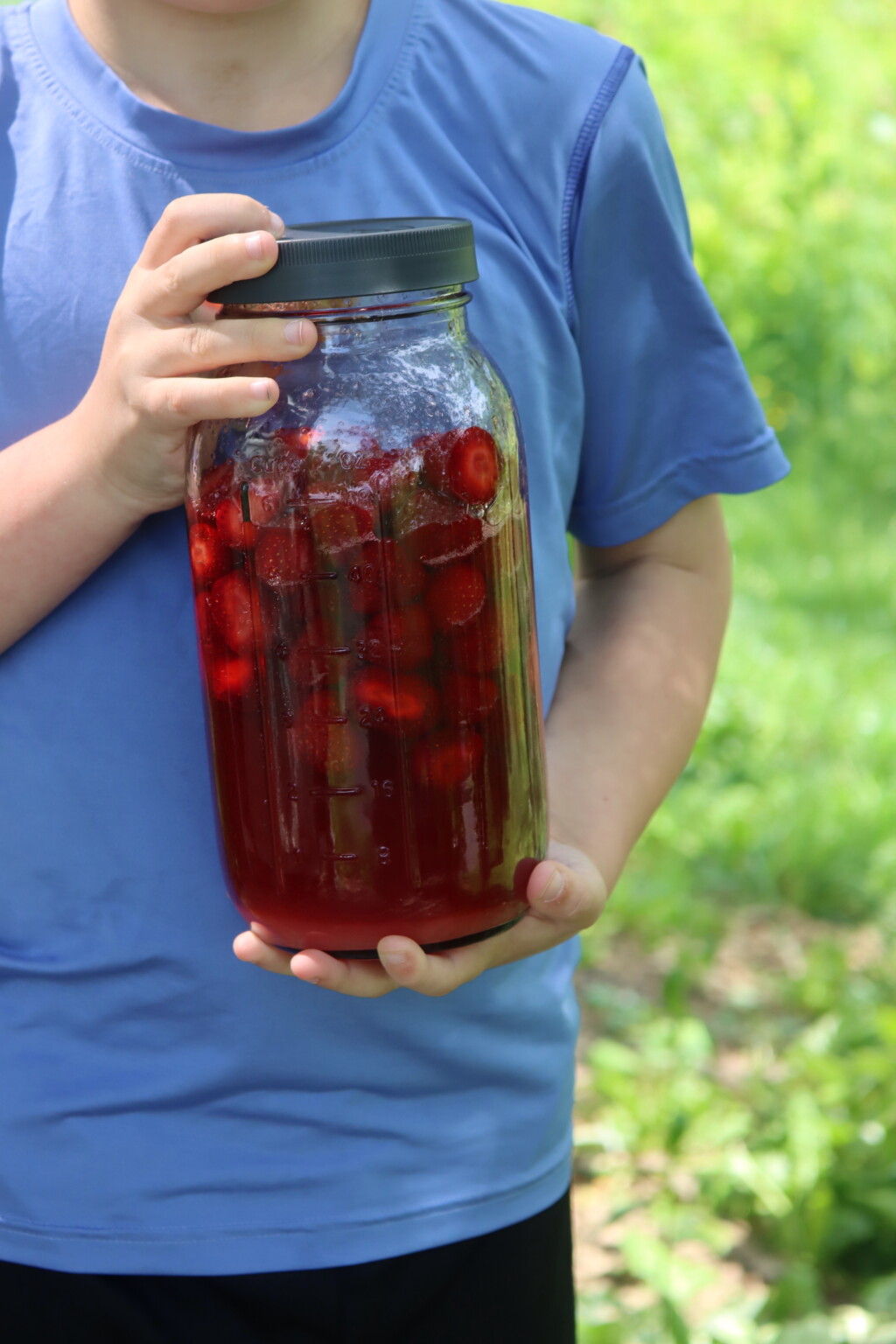 Old Fashioned Strawberry Preserves - Creative Canning