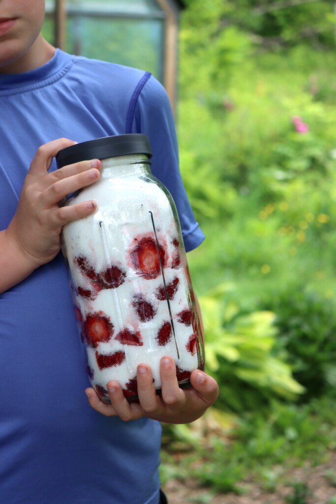 Macerating Strawberries for Preserves