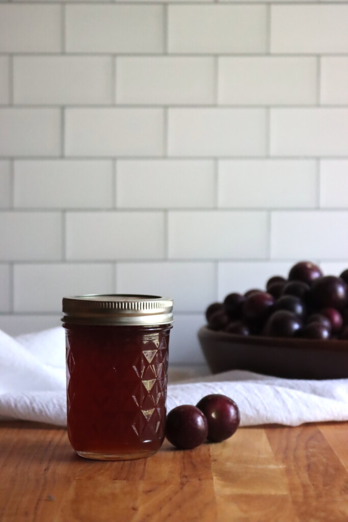 Muscadine Jelly
