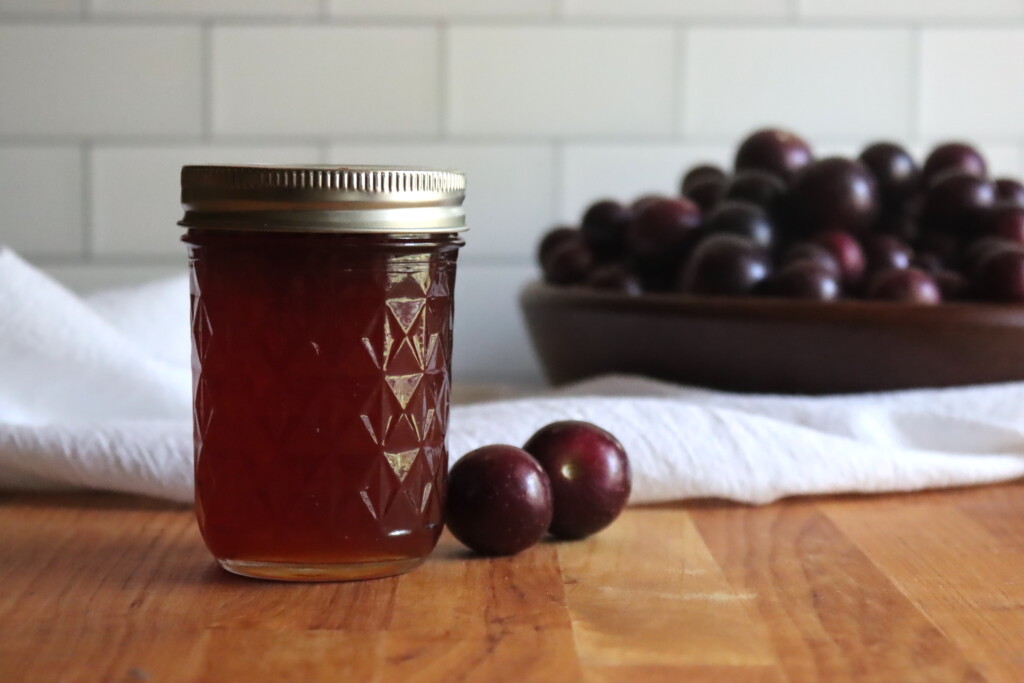 Muscadine Jelly