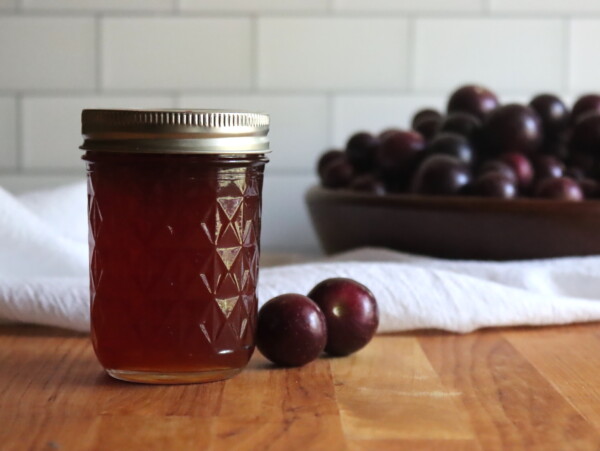Muscadine Jelly