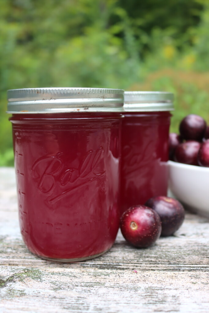 Muscadine Juice
