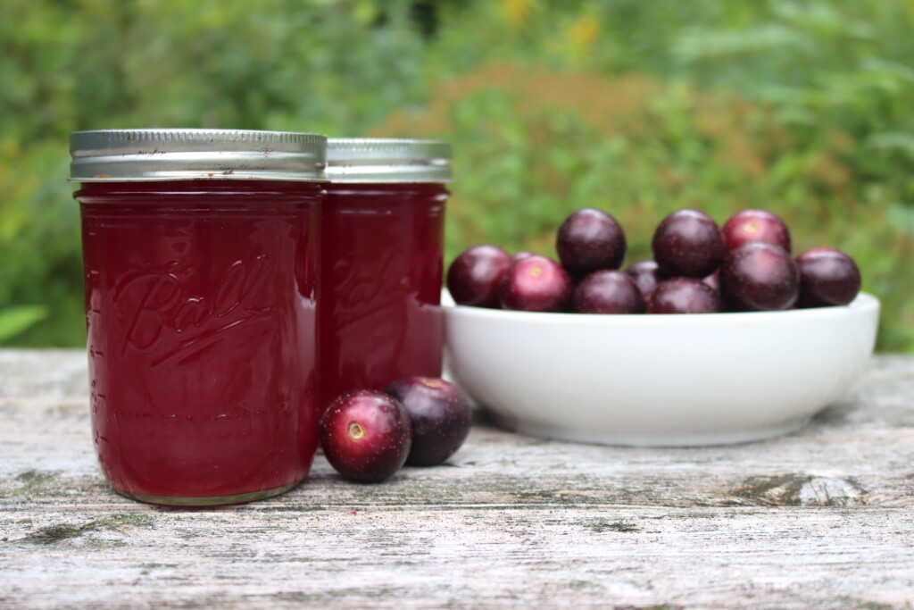 Muscadine Juice