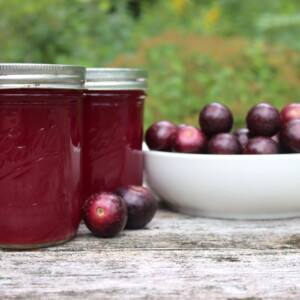 Muscadine Juice