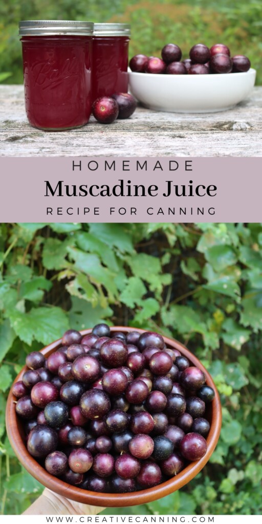 Muscadine Juice Recipe