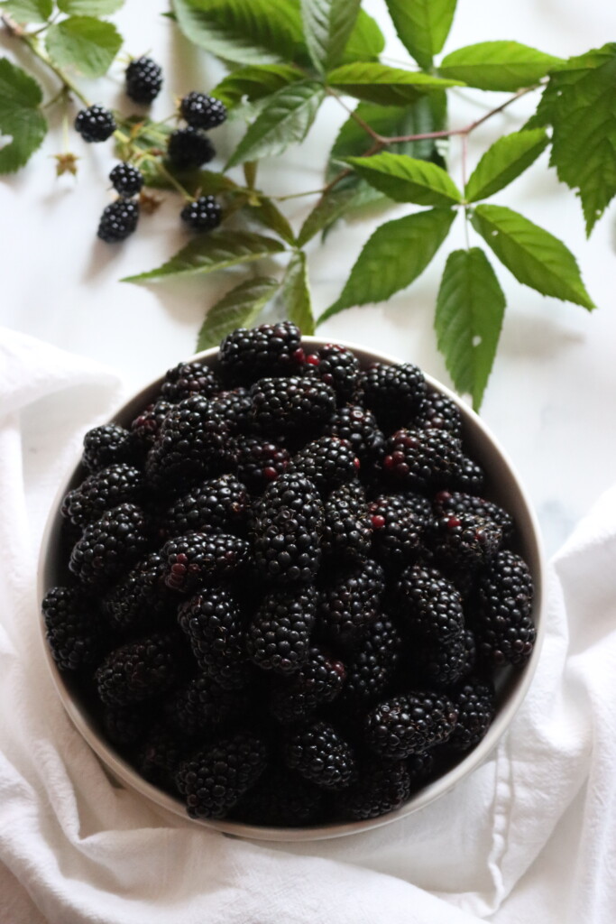 Blackberries