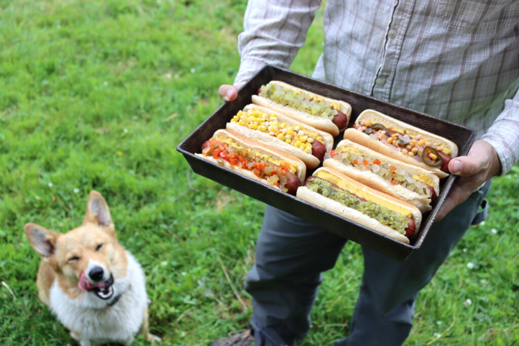 Dog and Hot Dog