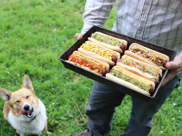 Dog and Hot Dog