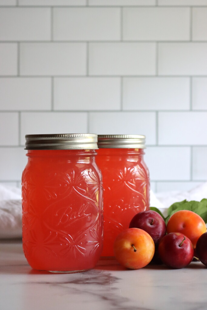 Plum Lemonade Concentrate