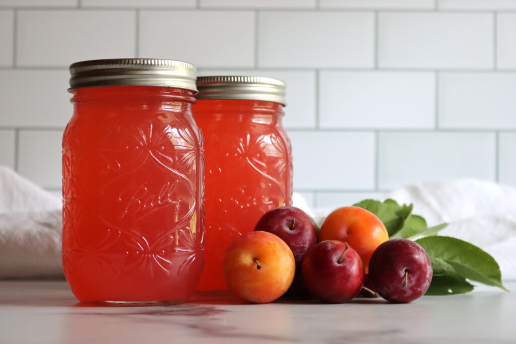 Plum Lemonade Concentrate