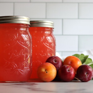 Plum Lemonade Concentrate
