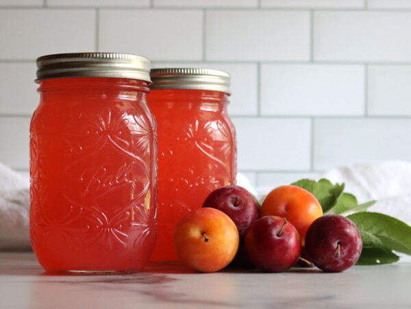 Plum Lemonade Concentrate