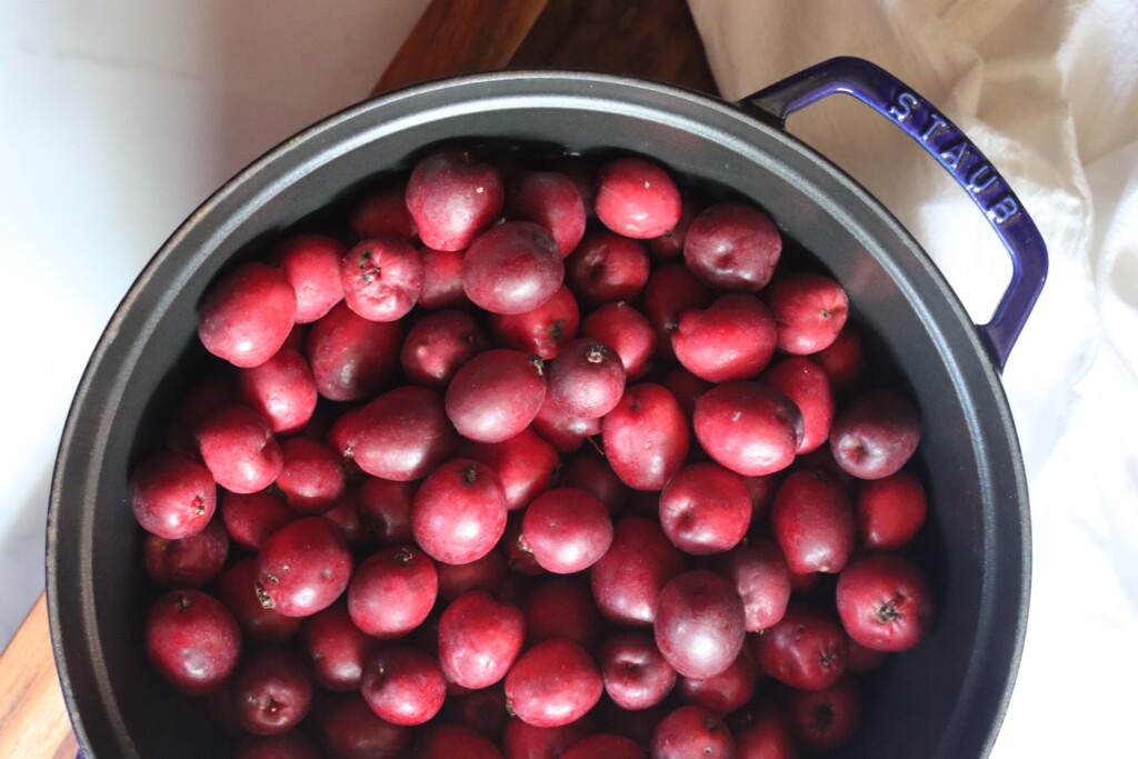 Crabapples in a pot ready to make jelly.