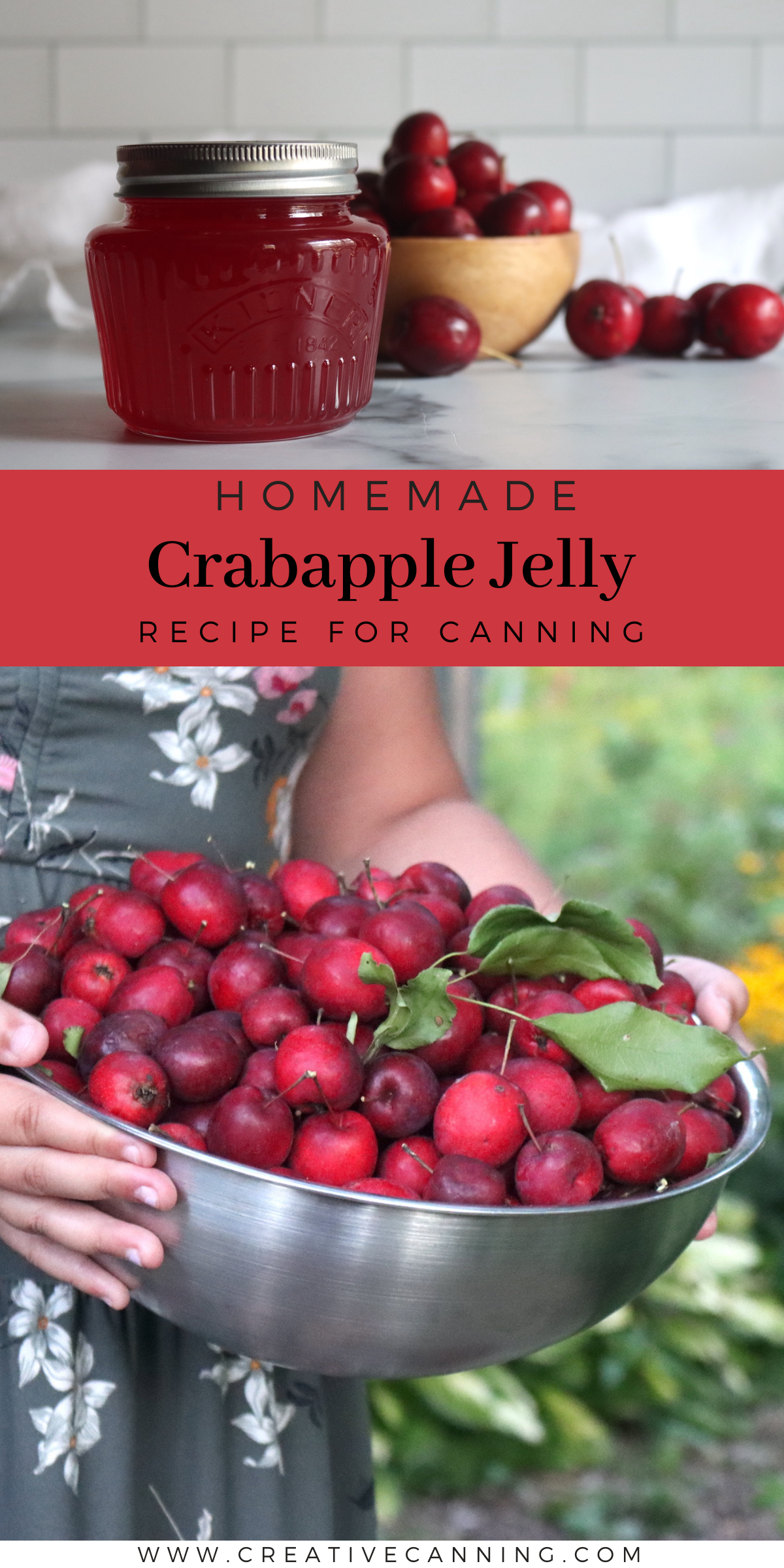 Crabapple Jelly Creative Canning