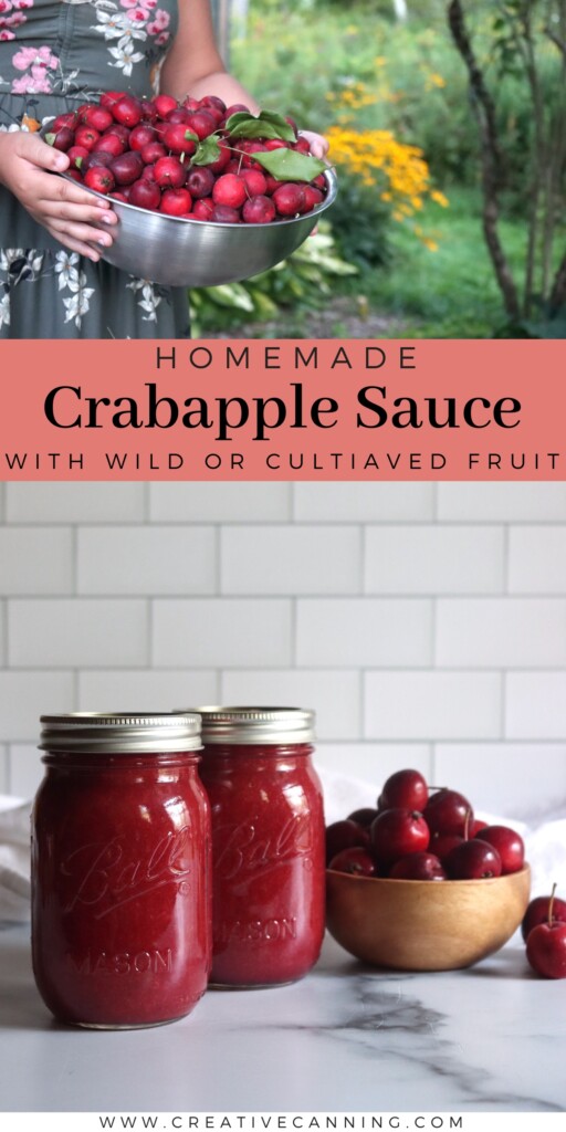Crabapple Sauce Recipe