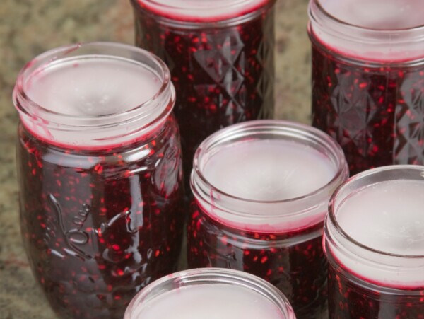 Wax Jam Seals