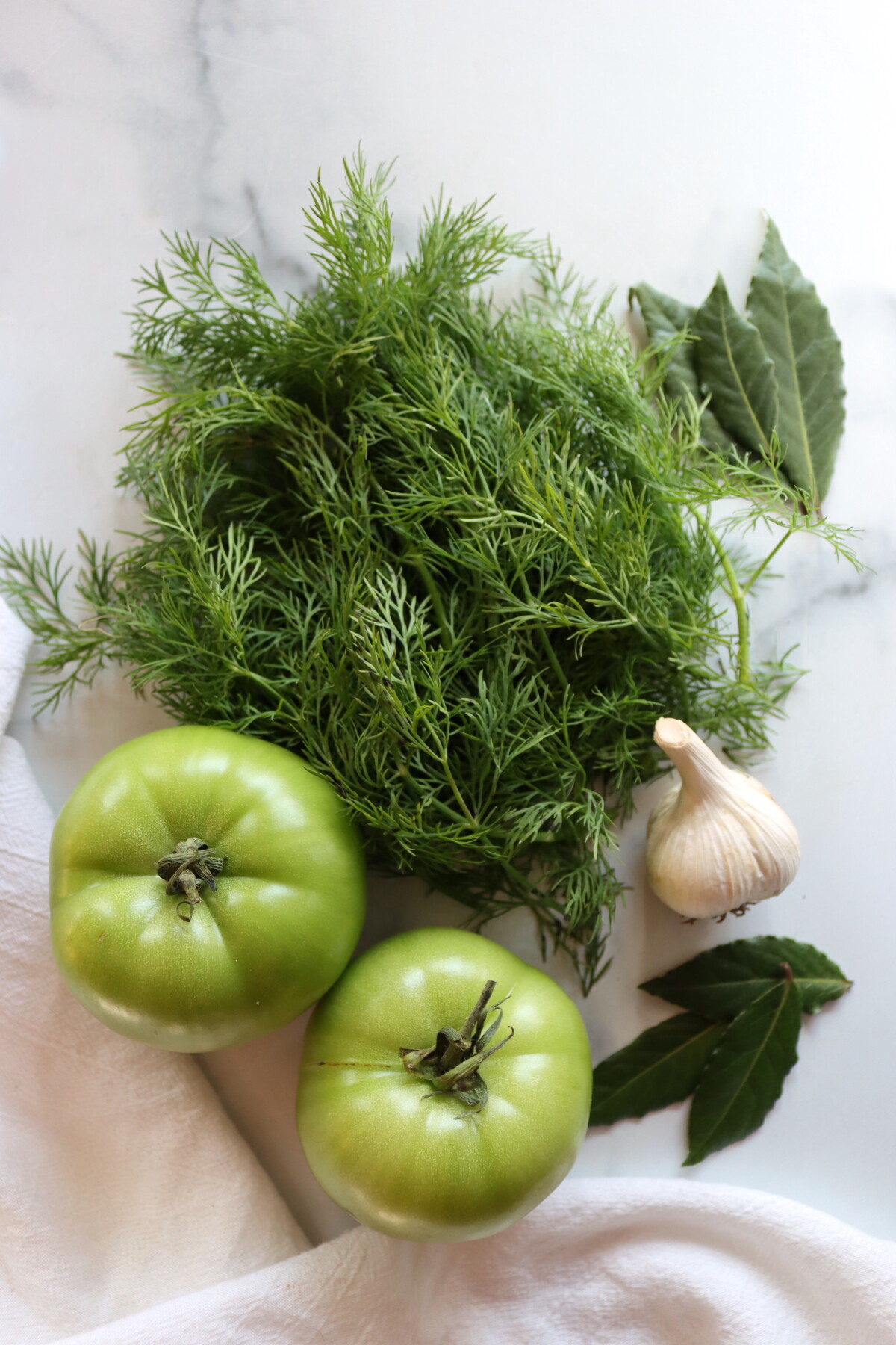 Dill Pickled Green Tomatoes Ingredients