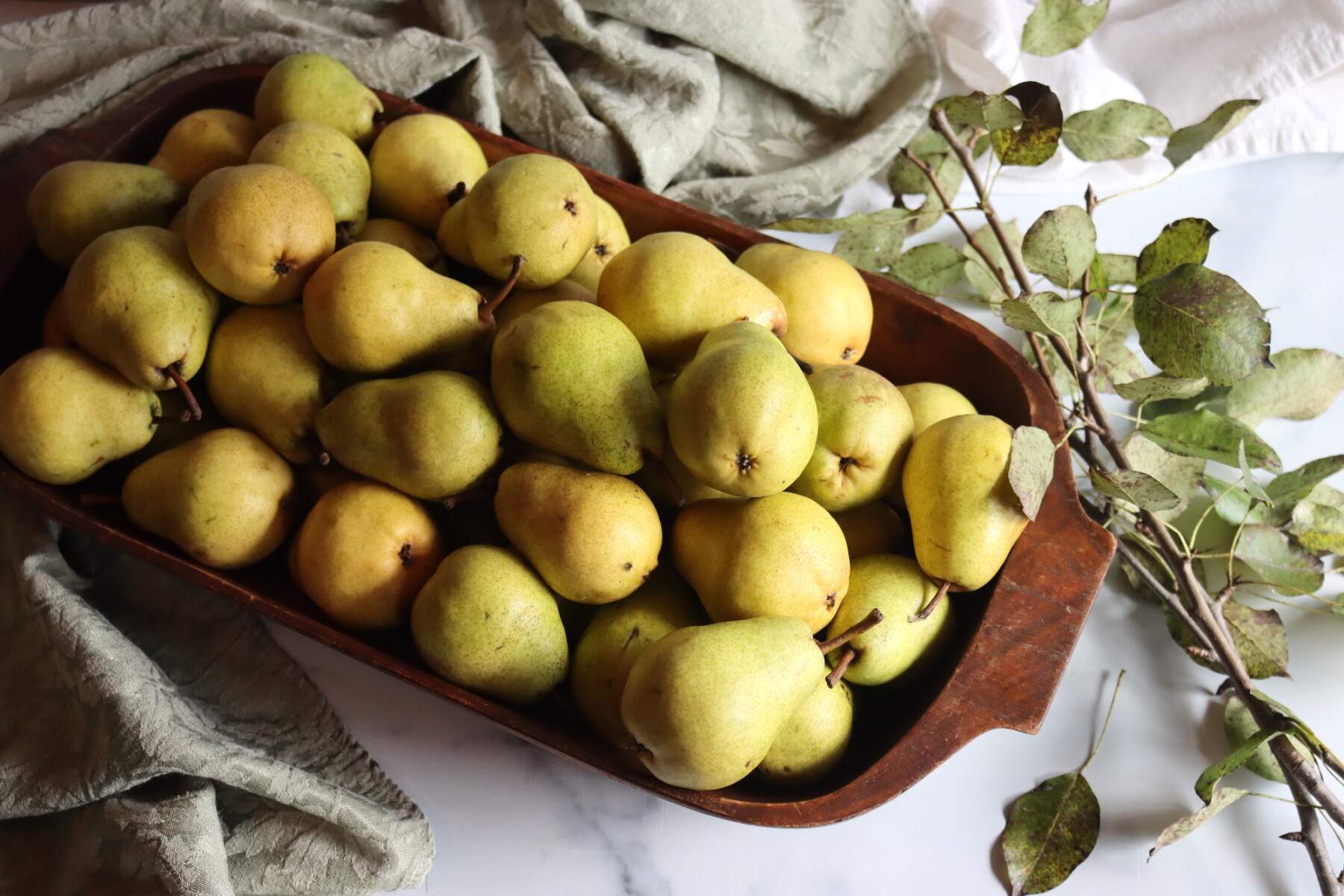 Pear Harvest