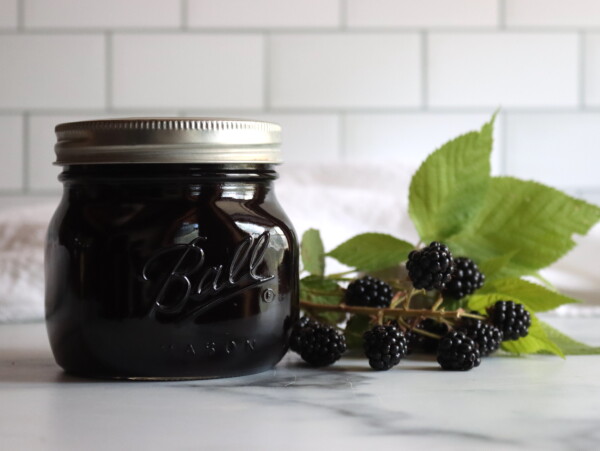 Blackberry Jelly Recipe