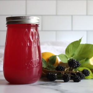 Blackberry Lemonade Concentrate