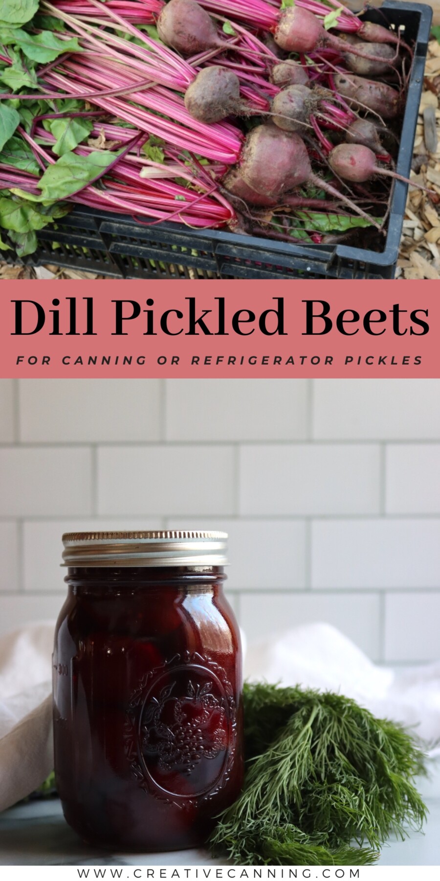 Dill Pickled Beets Recipe