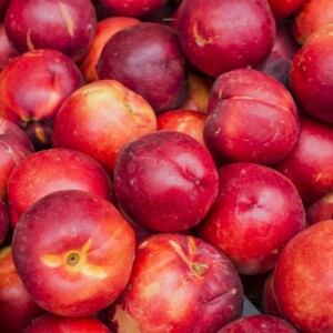 Nectarines