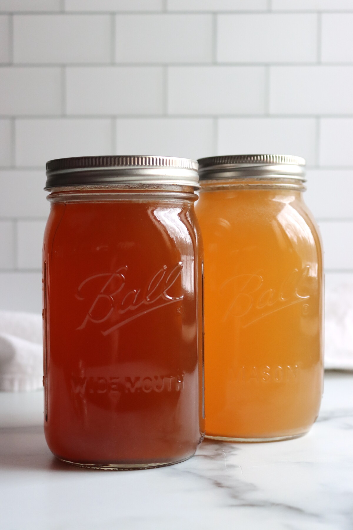 Venison and Turkey Broth