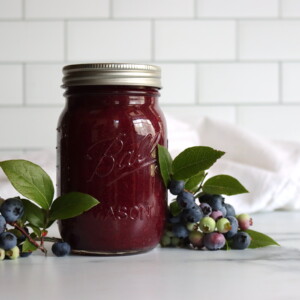 Blueberry Applesauce