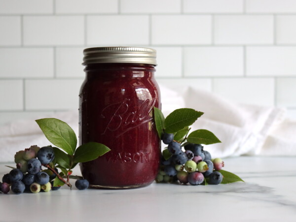 Blueberry Applesauce