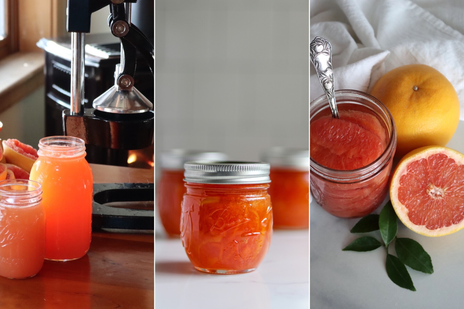 Grapefruit Canning Recipes