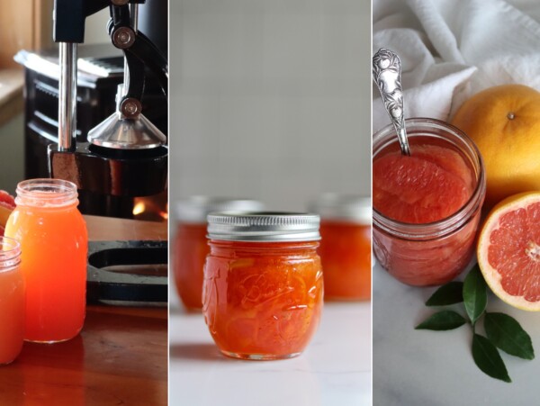 Grapefruit Canning Recipes