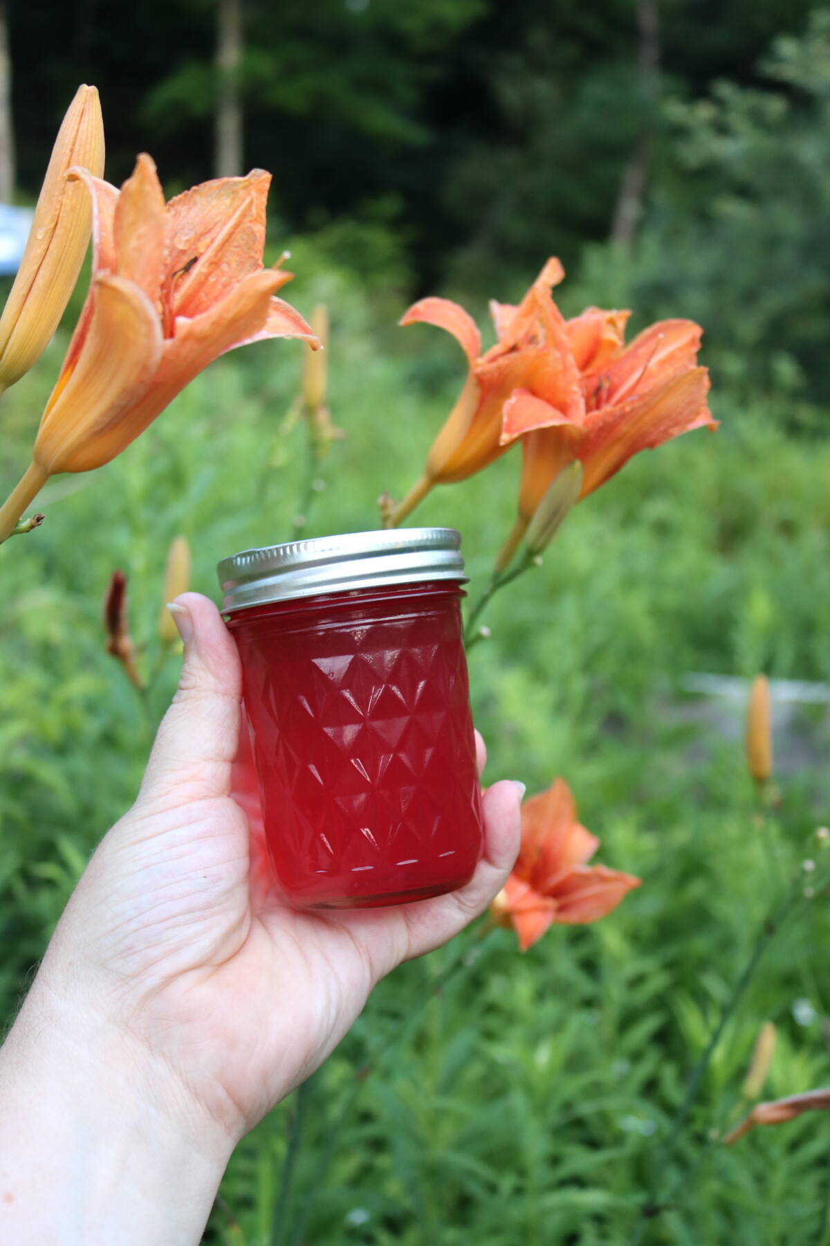 Daylily Jelly