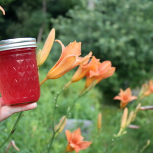 Daylily Jelly