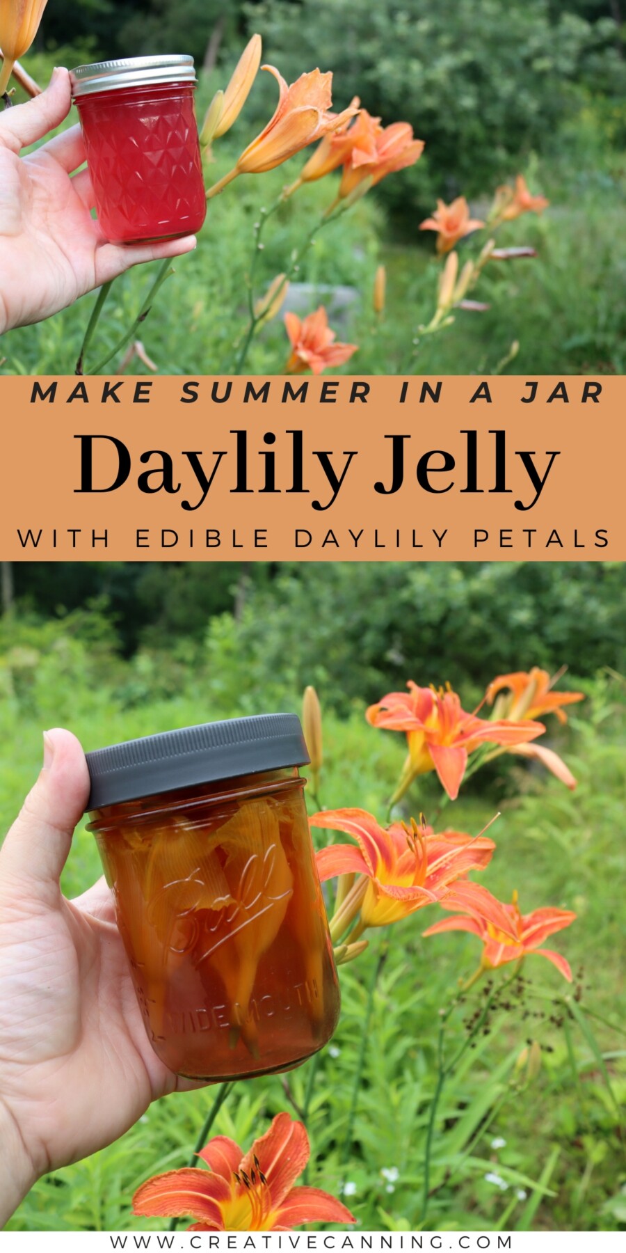 Daylily Jelly recipe