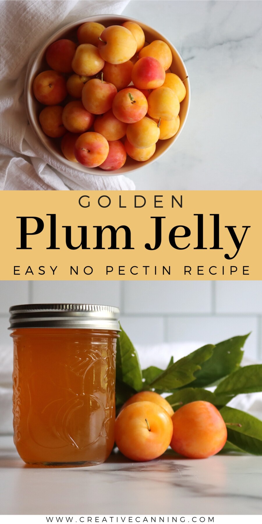 Yellow Plum Jelly Recipe