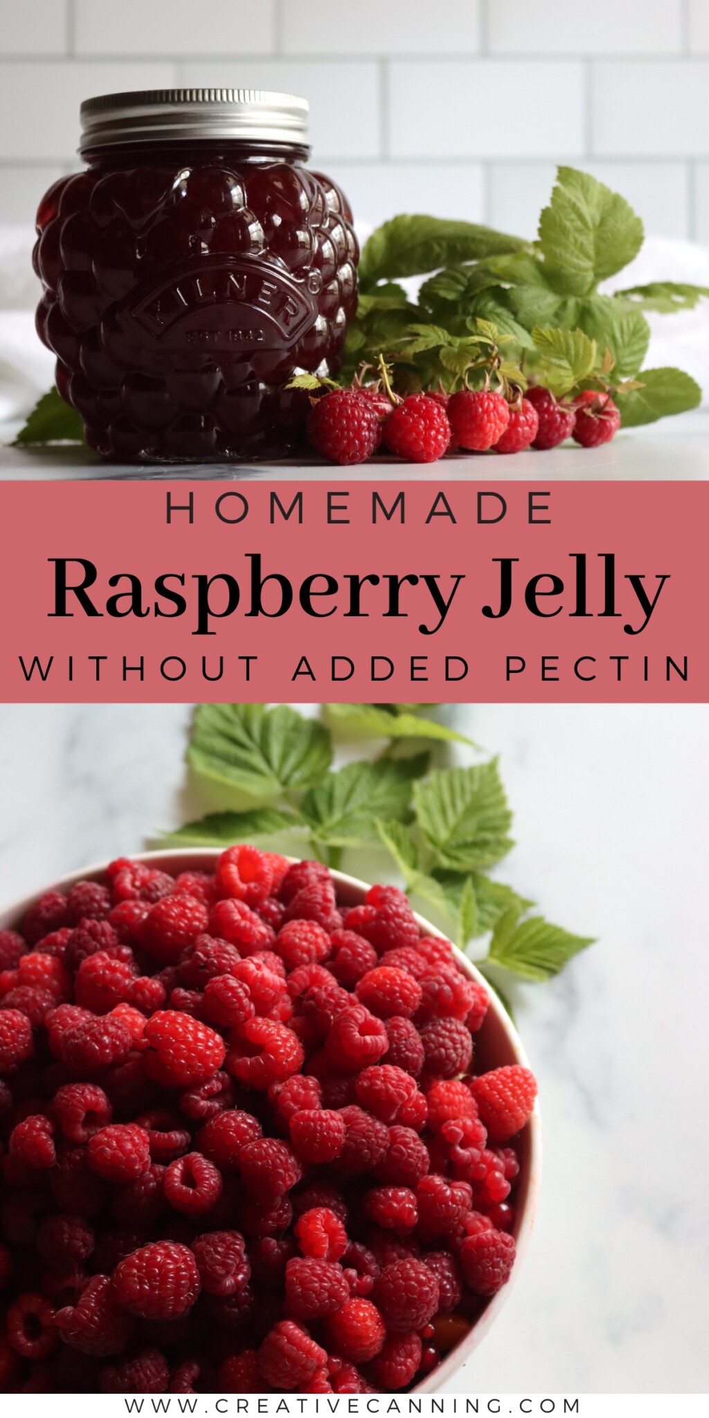 Raspberry Jelly - Creative Canning