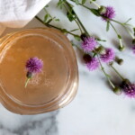 Thistle Jelly
