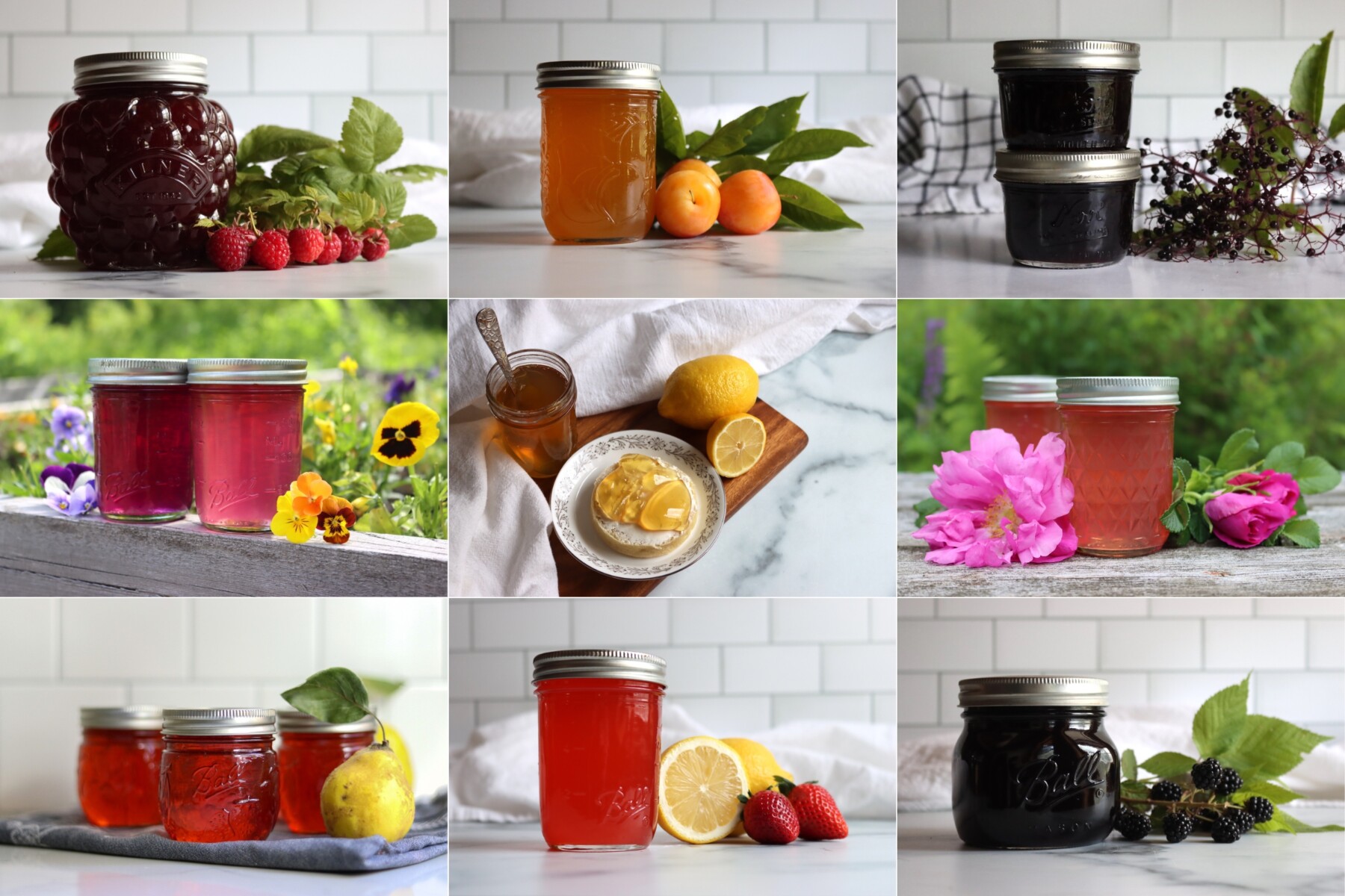 Jelly Canning Recipes